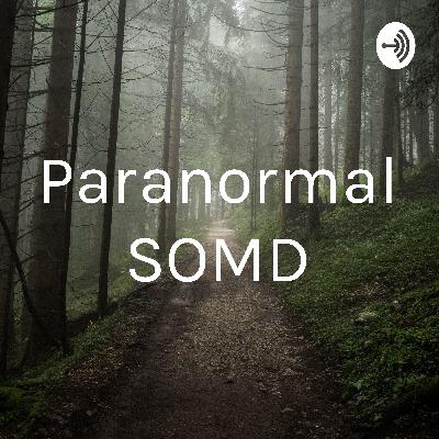 Episode 2: Psychic Ann Nial Episode 2: Psychic Ann Nial