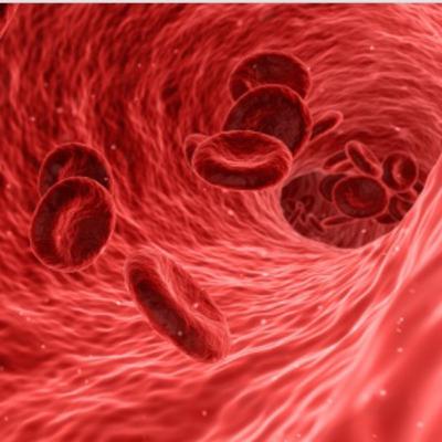 Hemophilia Episode 2