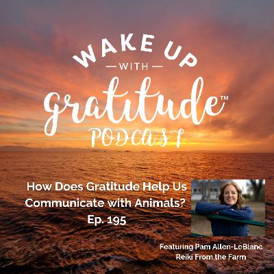 How Does Gratitude Help Us Communicate with Animals? (Pam Allen-LeBlanc, Ep. 195)