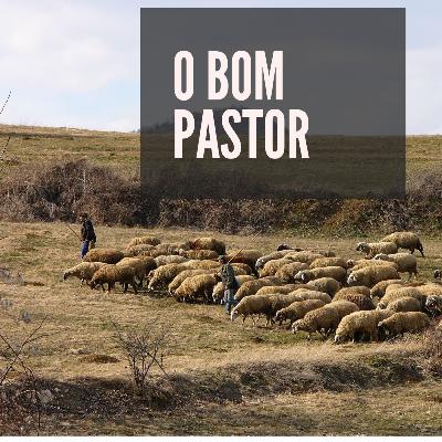 #4 - Estudo Bíblico - Salmo 23