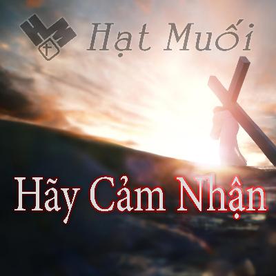 Hãy Cảm Nhận Hãy Cảm Nhận