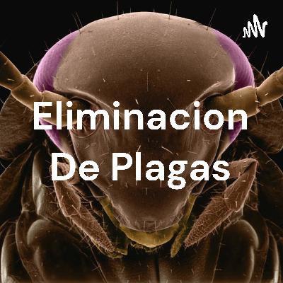 Contestando Preguntas