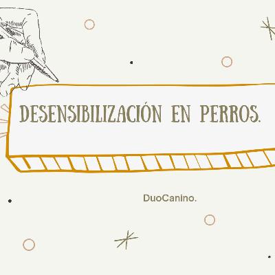 Desensibilización en perros