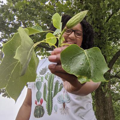Diversity in the Plant Sciences Diversity in the Plant Sciences