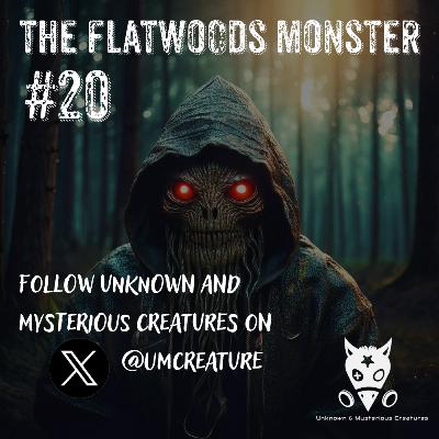 20. The Flatwoods Monster