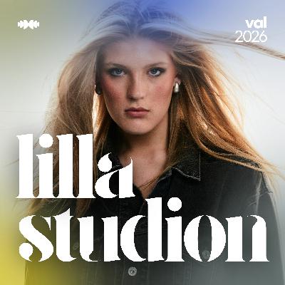 Sverigedemokraterna och Linda Lindberg Sverigedemokraterna och Linda Lindberg