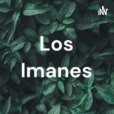 Los imanes