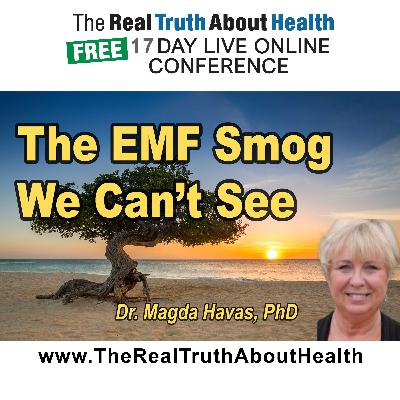 The EMF Smog We Can’t See The EMF Smog We Can’t See
