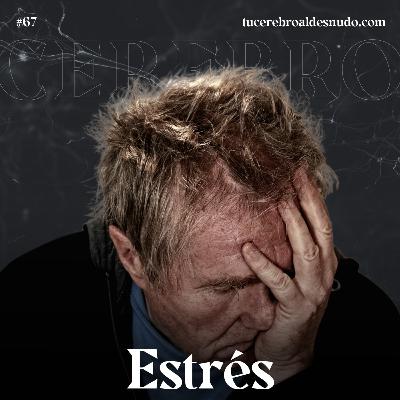 67. Cómo gestionar tu CEREBRO ante picos de ESTRÉS