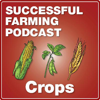 Cutting Costs with Cover Crops and Manure Credits