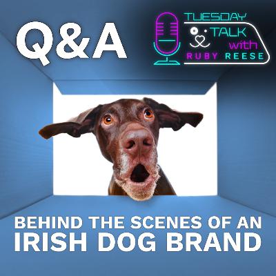 Q&A - Behind the Scenes of An Irish Dogs Brand