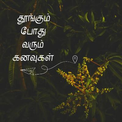 Sleeping Dreams 😴 | Do dreams have a small impact on your reality? | Tamil Sleeping Dreams 😴 | Do dreams have a small impact on your reality? | Tamil