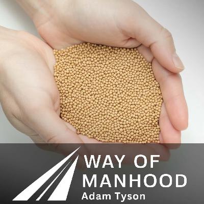 The Mustard Seed Principle: How God Grows His Kingdom from Small Beginnings