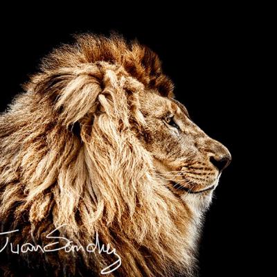 Que pasa cuando tengo insomnio