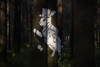 White Rabbit White Rabbit