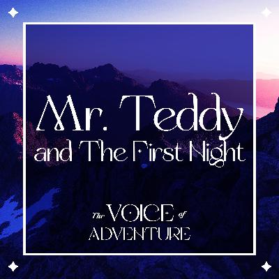Mr. Teddy and The First Night Mr. Teddy and The First Night