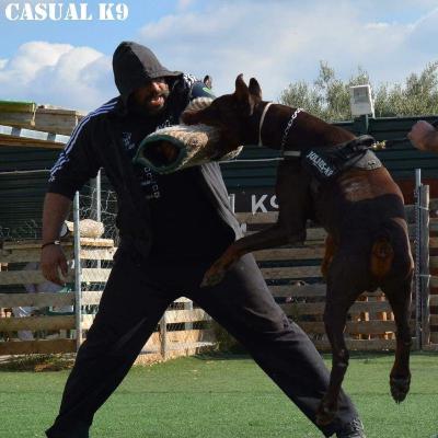 Εκπαίδευση σκύλου φύλακα - σωματοφύλακα!