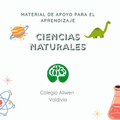 Ciencias Naturales: Amor Ciencias Naturales: Amor