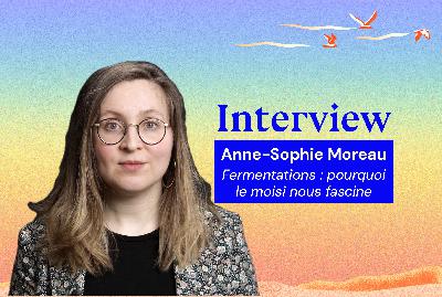 Fermentations : pourquoi le moisi nous fascine Fermentations : pourquoi le moisi nous fascine