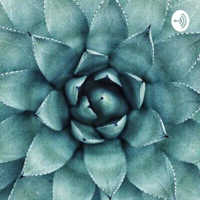 Covenant Renewal and the Atomic Habit of Prayer