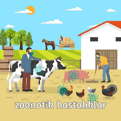 o son yarasayı yemeyecektik... zoonotik hastalıklar