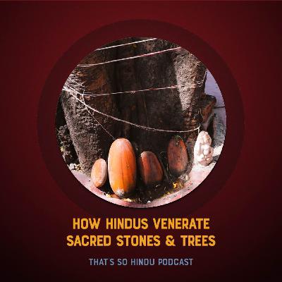 For Hindus the natural world is more than sacred, its embodied Divinity itself | Prof. David Haberman For Hindus the natural world is more than sacred, its embodied Divinity itself | Prof. David Haberman