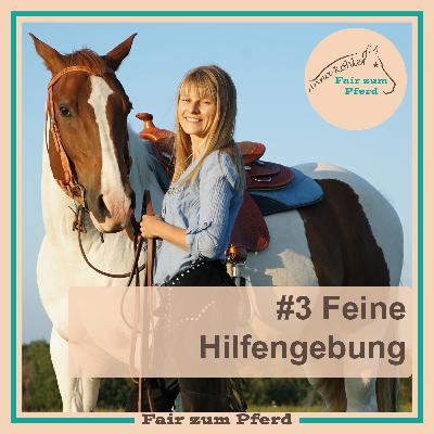 #3 Feine Hilfengebung