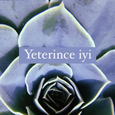Minnetarlık ile Güveni Yeniden Bulmak