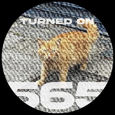#565: Axel Boman, Dino Lenny, Archie Hamilton, Lex Wolf, Ghosten
