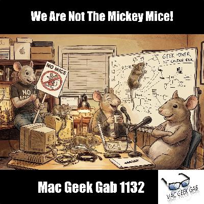 We Are Not The Mickey Mice! We Are Not The Mickey Mice!