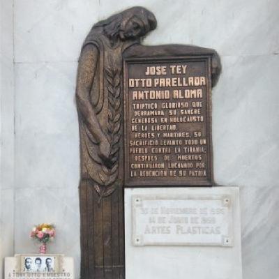 Santiago de verde olivo: Alzamiento del 30 de noviembre