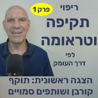 תוקף, קורבן ושותפים סמויים - הצגה ראשונית: פרק 1 בפודקאסט ריפוי תקיפה וטראומה לפי דרך העומק