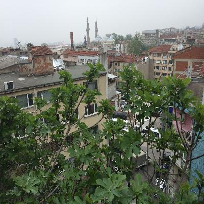 037-HADIS BIRR - Ali Kucuk