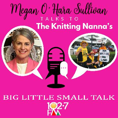The Knitting Nanna's