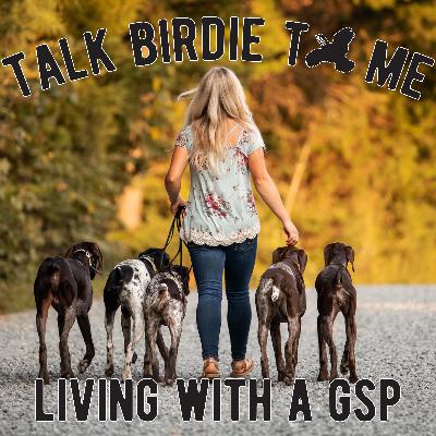 11 | Living with a German Shorthaired Pointer 11 | Living with a German Shorthaired Pointer
