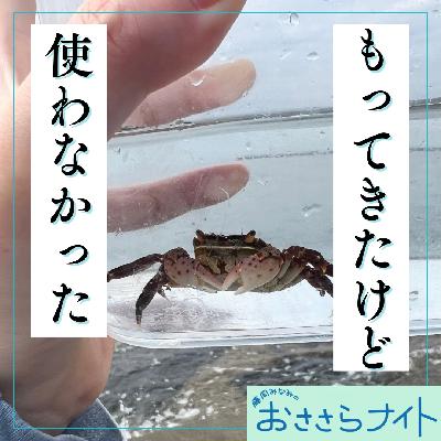 ＜ＯＡ＞２０２５年１０月４日放送