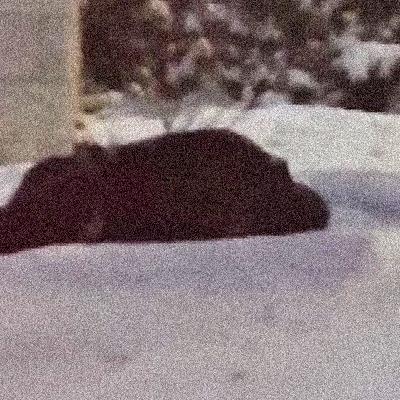 Video of a man being evicted from a hospital, dumped in the snow sparks outrage