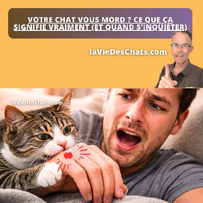 VOTRE CHAT VOUS MORD ? CE N'EST PAS FORCÉMENT GRAVE … VOILÀ POURQUOI