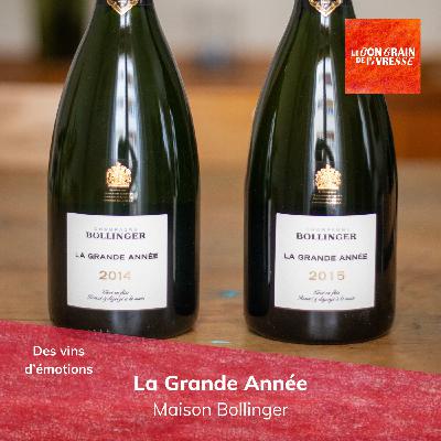 Des vins d'émotions : La Grande Année, Maison Bollinger