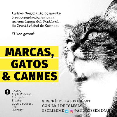 MARCAS, GATOS & CANNES