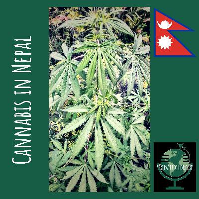 Pan's Labyrinth - Pan'ın Labirenti Filmi İncelemesi: Pan'a Güvenemezsiniz Abiciğim! | Dollywood #19 Pan's Labyrinth - Pan'ın Labirenti Filmi İncelemesi: Pan'a Güvenemezsiniz Abiciğim! | Dollywood #19