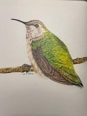 Take Your Cues from the Muse