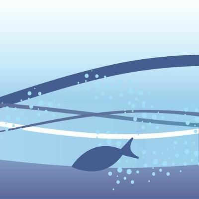 New Year, Same Podcast! Norwegian Crab; Harmful Algal Blooms in Chile and More!