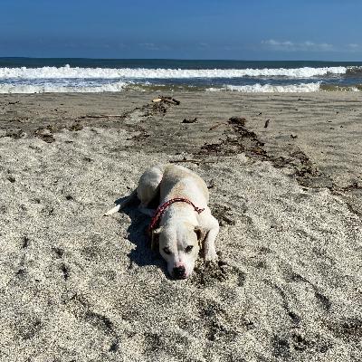 ¿PLAYA O CALLE? Adiós noviembre.