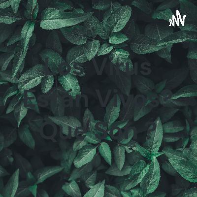 Hallan submarino de la primera Guerra mundial en costas mexicanas