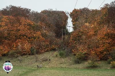 Weekly News 11. WW50 Preview, GPT100, Tunnel Hill, Age Group Records Weekly News 11. WW50 Preview, GPT100, Tunnel Hill, Age Group Records