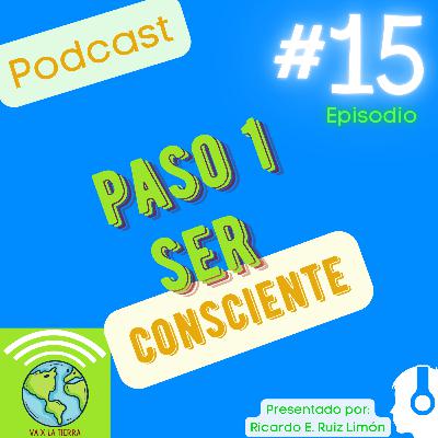 15 Paso 1 Ser Consciente