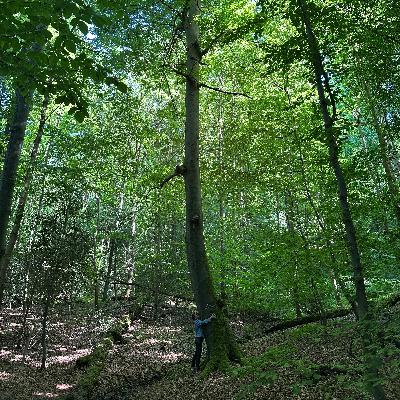 49. 心と身体の健康とバランス