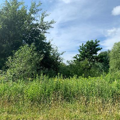 Улица Генерала Бурмакова: ничего нет, только дом № 8 (и тот недостроенный) Улица Генерала Бурмакова: ничего нет, только дом № 8 (и тот недостроенный)