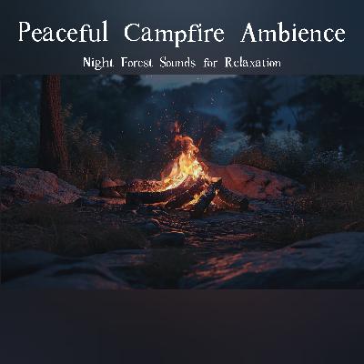🎧 Peaceful Campfire Ambience | Night Forest Sounds for Relaxation